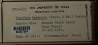 Image Associated With the Occurence